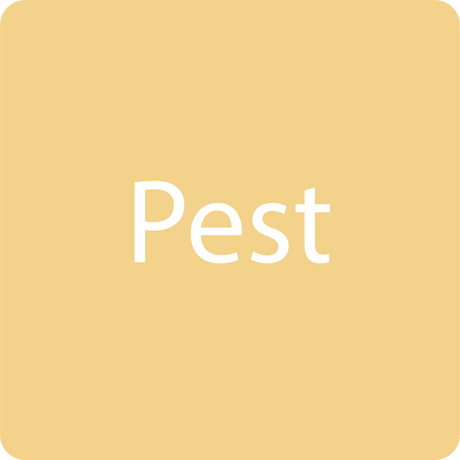 Pest