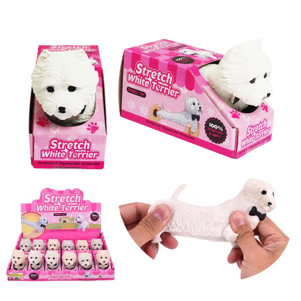 Stretch White Terrier Asstd
